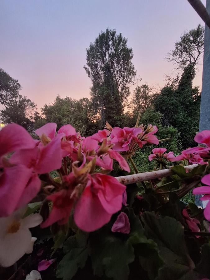 Villa Ella โอครีด ภายนอก รูปภาพ